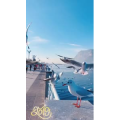 旅行风景5782