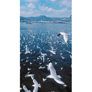 旅行风景5784