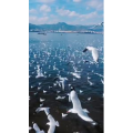 旅行风景5784