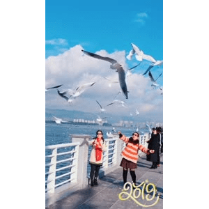 旅行风景5785