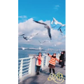 旅行风景5785