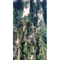 旅行风景5788
