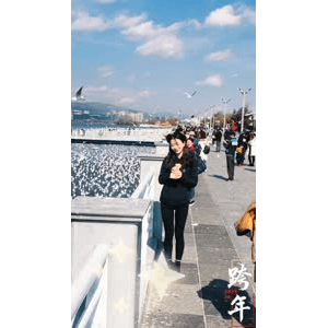 旅行风景5790