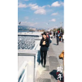 旅行风景5790