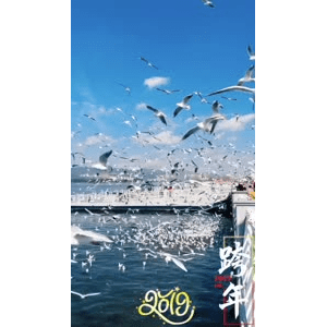 旅行风景5792