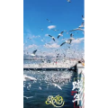 旅行风景5792