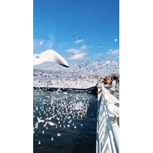 旅行风景5794