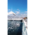 旅行风景5794