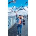旅行风景5797