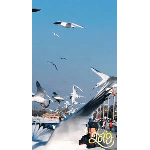 旅行风景5798