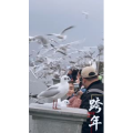 旅行风景5804