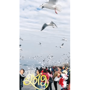 旅行风景5805
