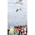 旅行风景5805