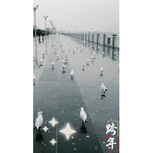 旅行风景5807