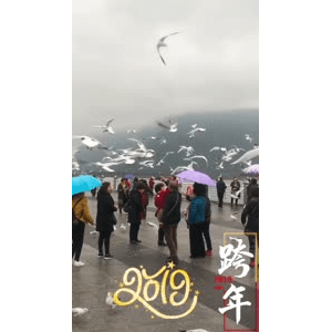 旅行风景5808