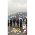 旅行风景5808