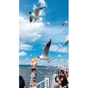旅行风景5809