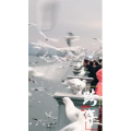 旅行风景5810