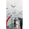 旅行风景5813