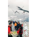 旅行风景5815