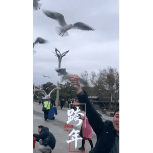 旅行风景5816