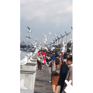 旅行风景5821