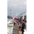旅行风景5821