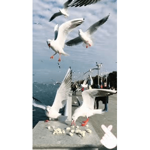 旅行风景5825