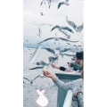 旅行风景5829