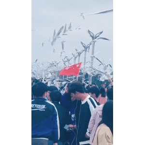 旅行风景5830