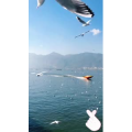 旅行风景5832