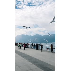 旅行风景5834