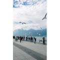 旅行风景5834