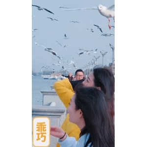 旅行风景5835