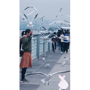 旅行风景5838