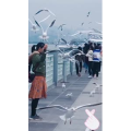 旅行风景5838