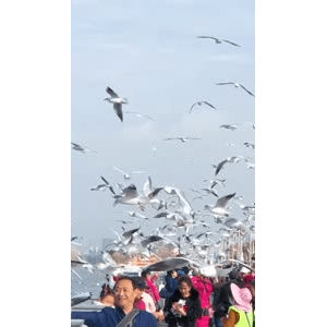 旅行风景5839