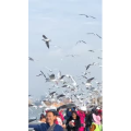 旅行风景5839