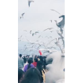 旅行风景5840