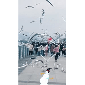 旅行风景5841