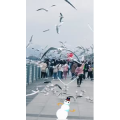 旅行风景5841