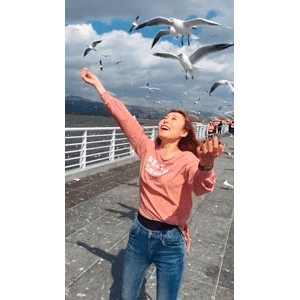 旅行风景5842