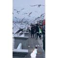 旅行风景5851