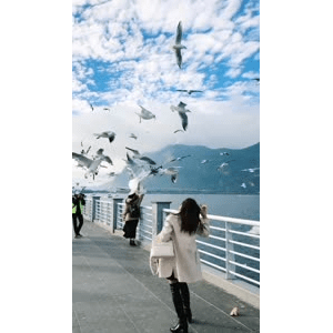 旅行风景5852