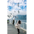 旅行风景5852