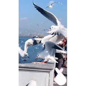 旅行风景5853