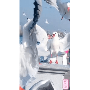 旅行风景5857