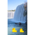 旅行风景5861