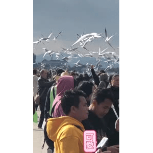 旅行风景5867