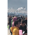 旅行风景5867